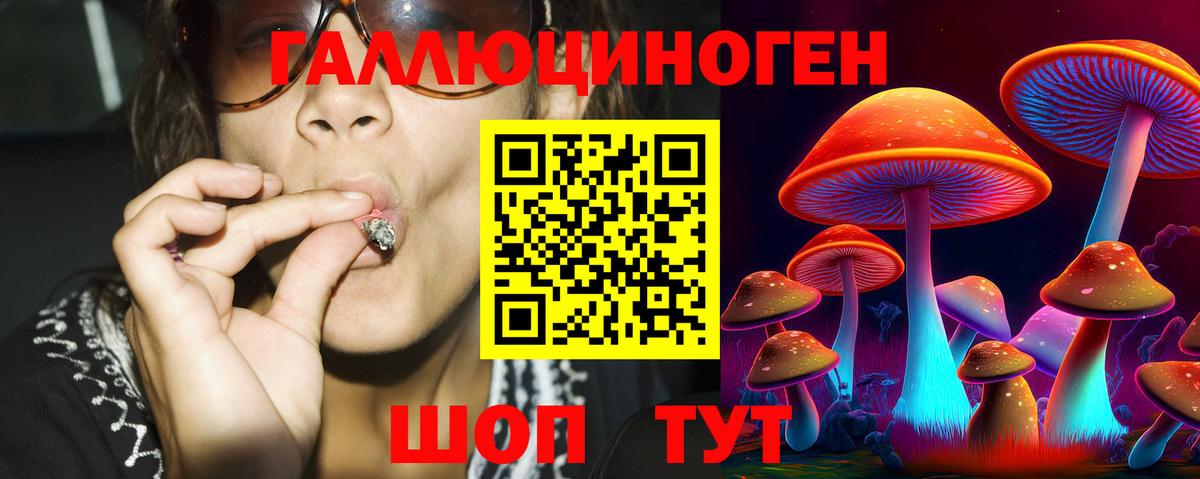 Котовск  Галлюциногенные грибы мицелий  Вход с VPN 