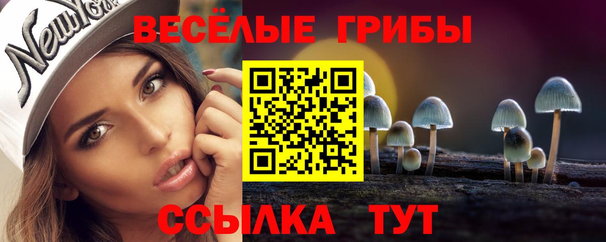 Галлюциногенные грибы ЛСД Котовск